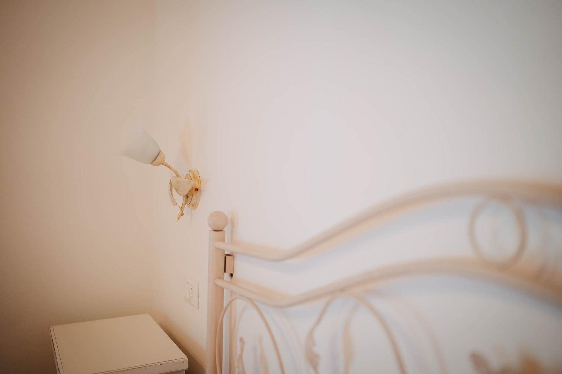 Rosa Alba Chiara — foto 7