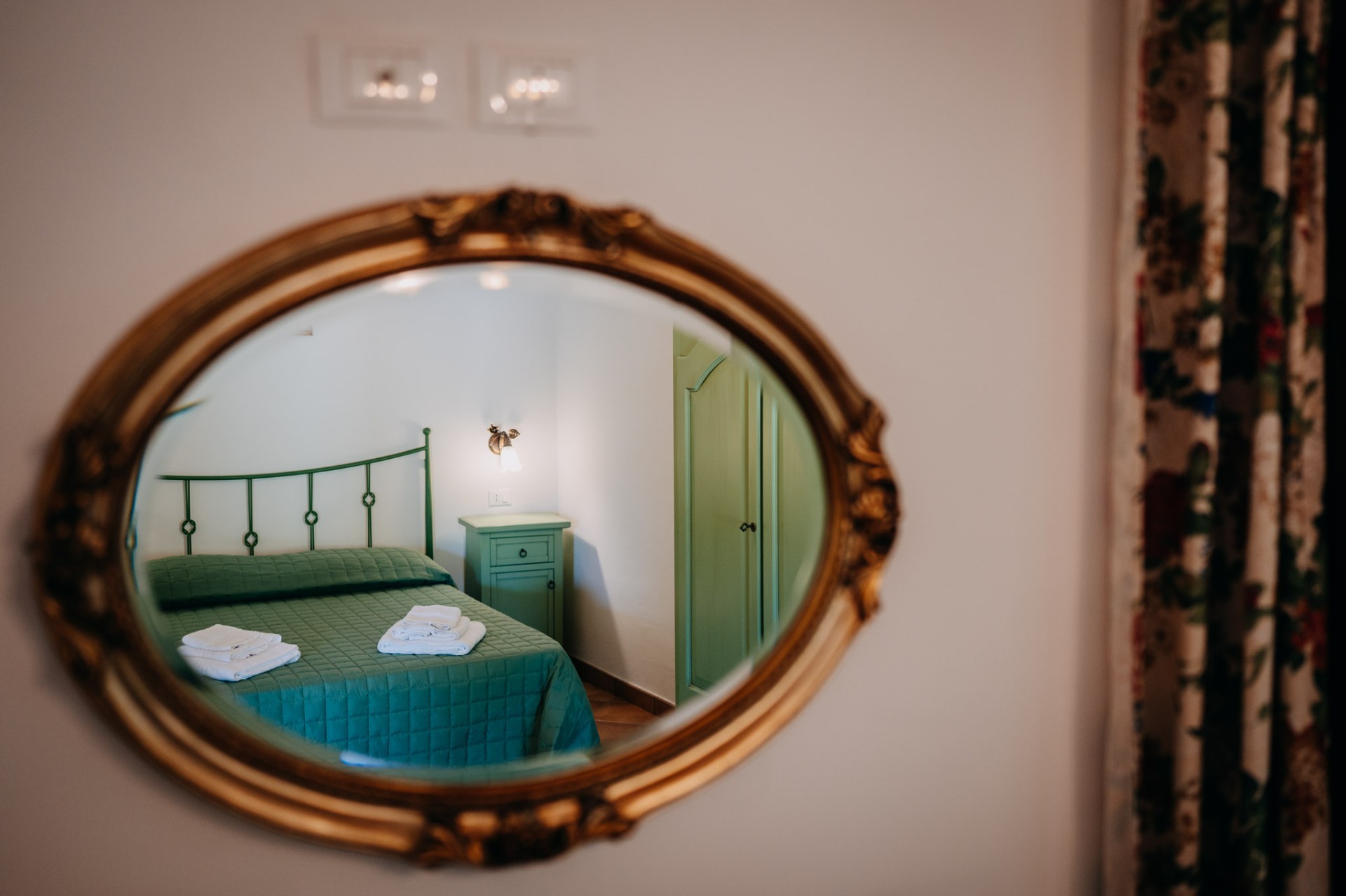 Rosa Canina — foto 4