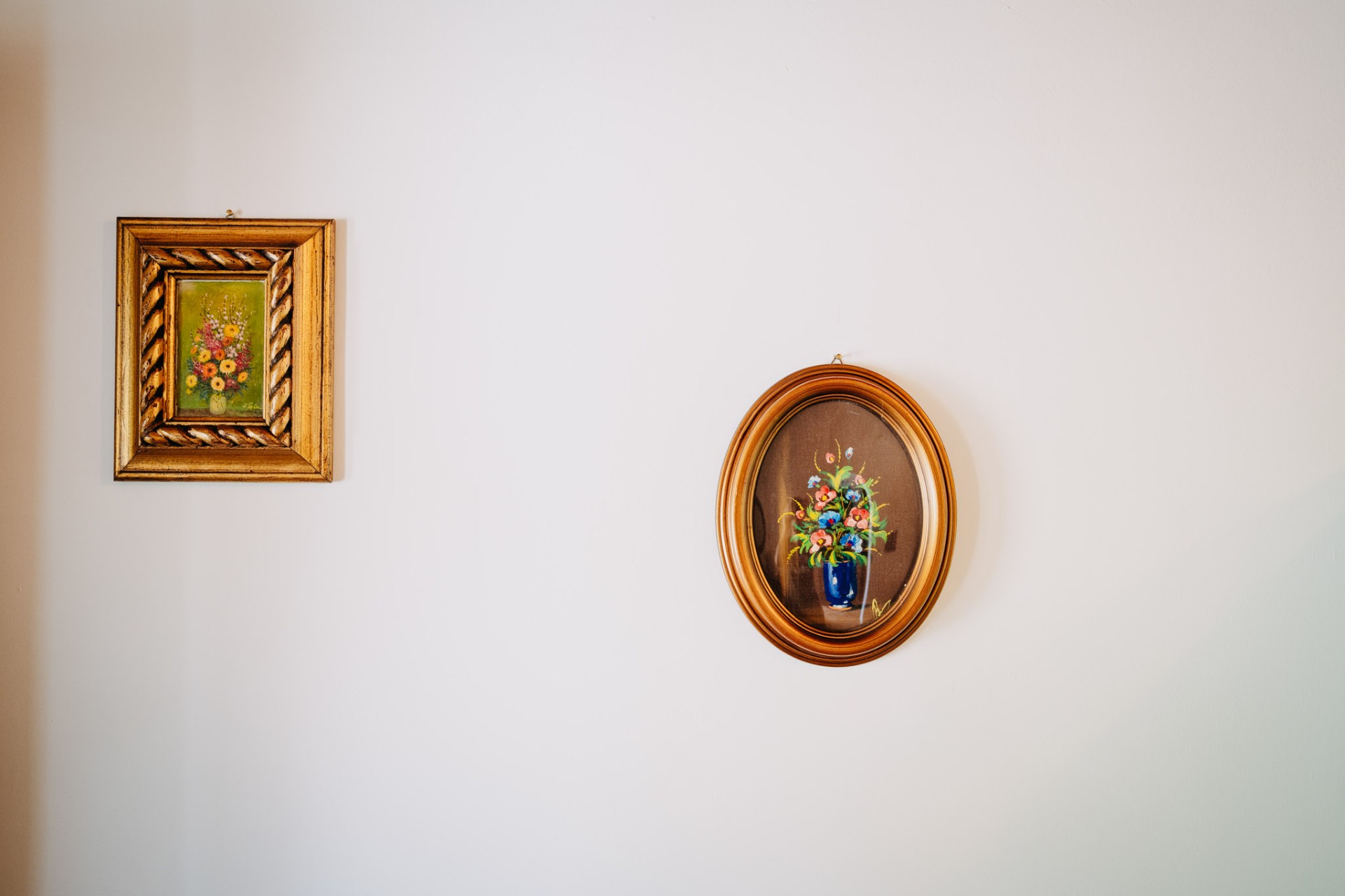 Rosa Canina — foto 6