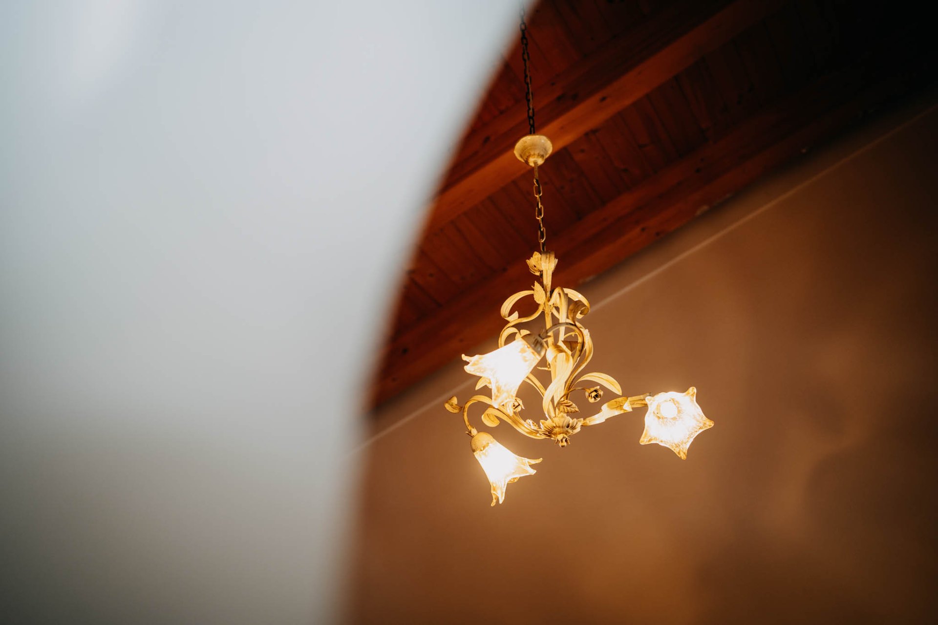 Rosa Rubino — foto 8